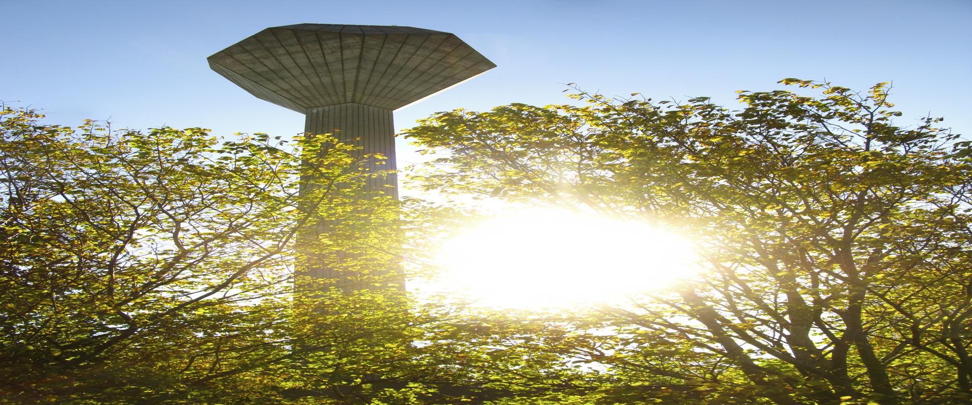 Photograph of the water tower on the UCD campus, backlit by the sun shining through trees.